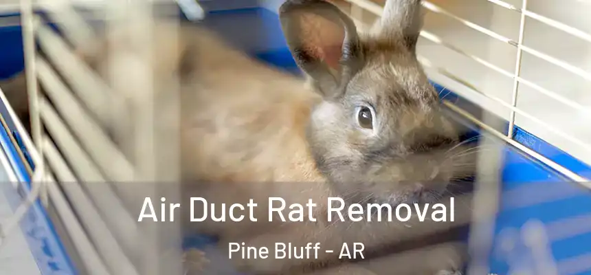 Air Duct Rat Removal Pine Bluff - AR