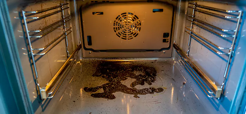 Our Dryer Vent Mold Cleaning Services in Pine Bluff, AR