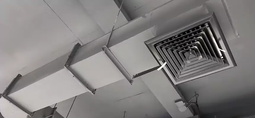 Our Pest Removal From Ducts Services in Pine Bluff, AR