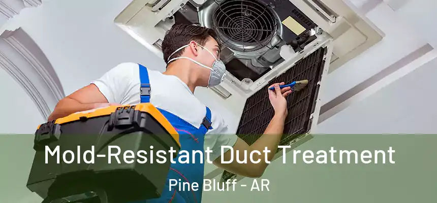 Mold-Resistant Duct Treatment Pine Bluff - AR