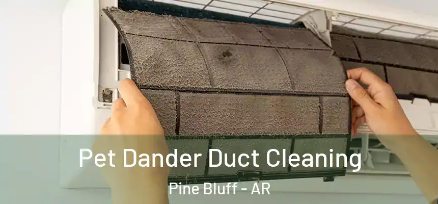 Pet Dander Duct Cleaning Pine Bluff - AR