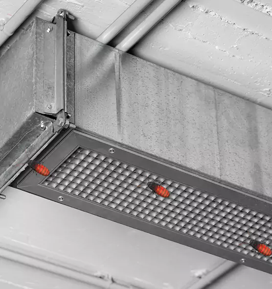 About Air Duct Cockroach Removal in Pine Bluff, AR