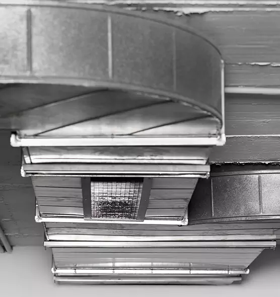 Professional Air Duct Pest Removal in Pine Bluff, AR