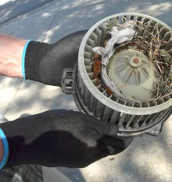 About Air Duct Rat Removal in Pine Bluff, AR