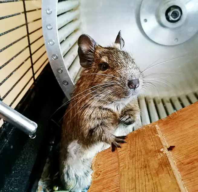 Why Homeowners & Businesses Trust Us Pine Bluff, AR