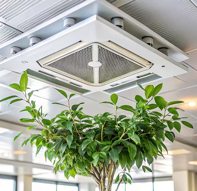 Why Homeowners & Businesses Trust Us in Pine Bluff, AR