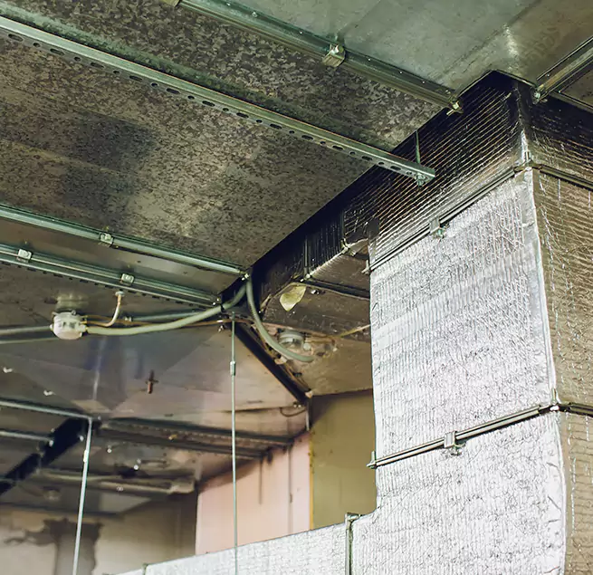 Why Homeowners & Businesses Trust Us in Pine Bluff, AR?